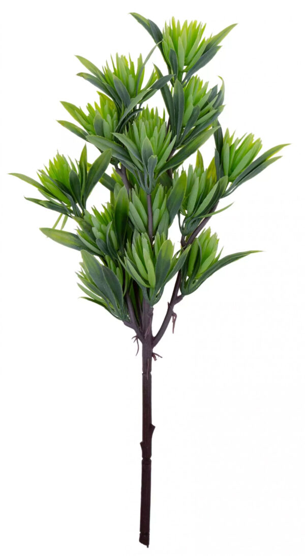 SUKULENT 39 CM TERRARIUM LAS W SŁOIKU DODATEK ROŚLINA ZIELONA