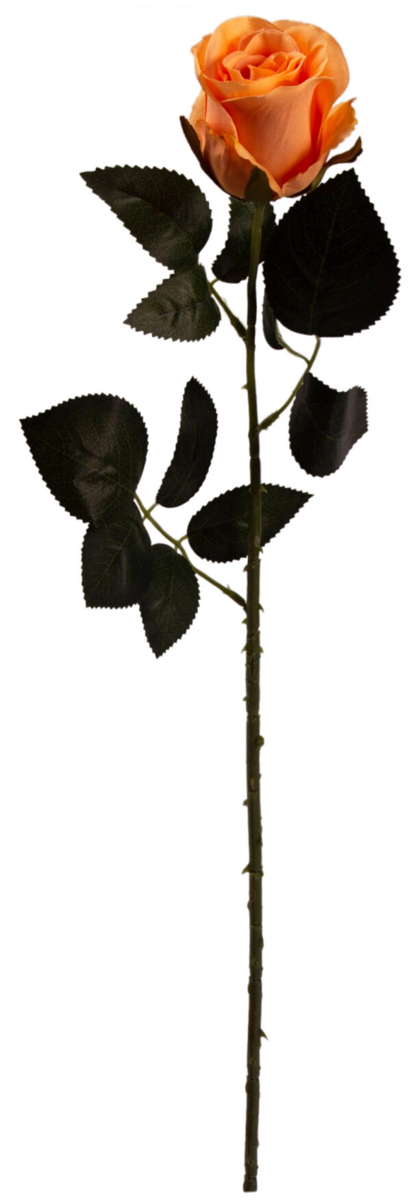 RÓŻA GAŁĄZKA 69 CM TEA HERBACIANA - obrazek 3