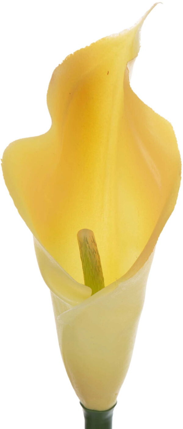 KALIA GUMOWA ŻÓŁTA 70 CM