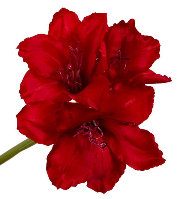 AMARYLIS CZERWONY 64 CM KWIATY SZTUCZNE - obrazek 2