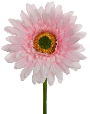 GERBERA PEARL PINK GAŁĄZKA 46 CM ŁODYGOWA