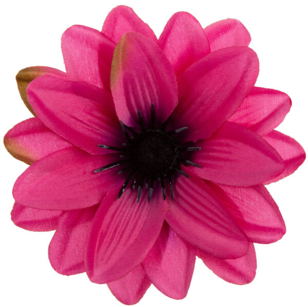 DALIA GŁÓWKA WYROBOWA BEAUTY 12 SZT.