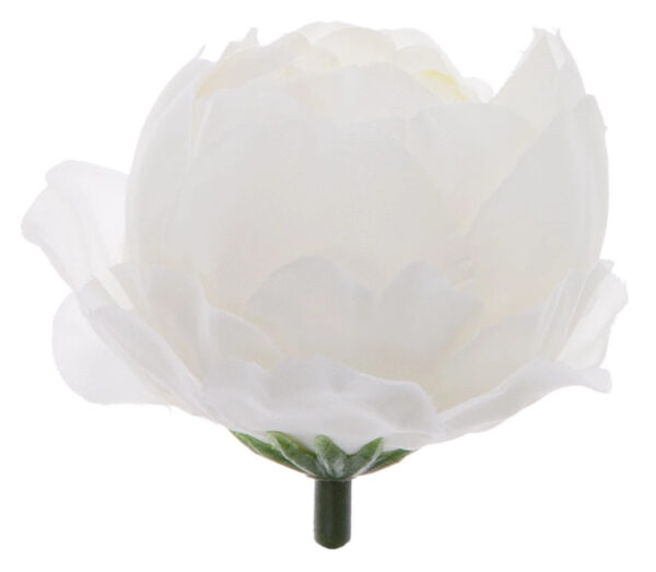 24X PEONIA PEŁNIK JASKIER GŁÓWKA WYROBOWA - obrazek 2