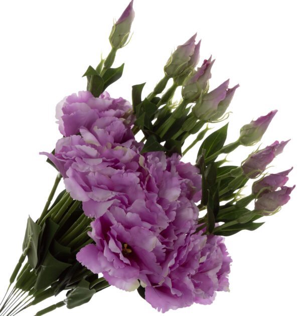12X EUSTOMA J. FIOLET GAŁĄZKA 48 CM