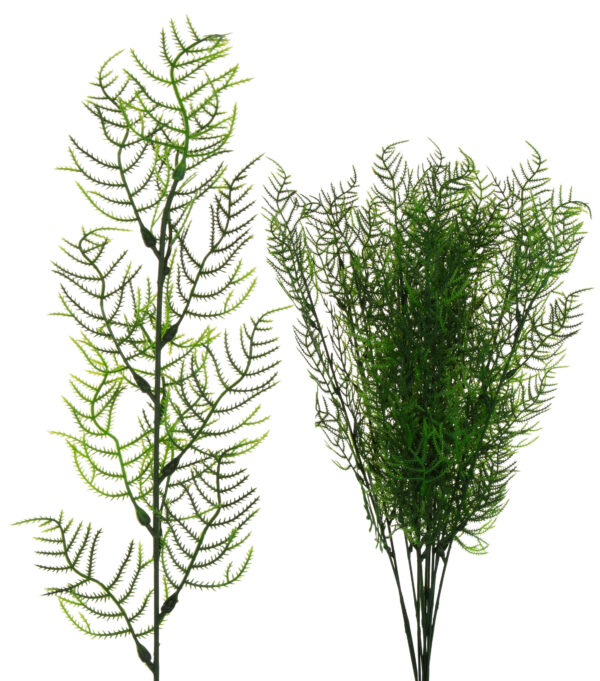 PLUMOSUS ASPARAGUS GAŁĄZKA 12X KWIATY SZTUCZNE