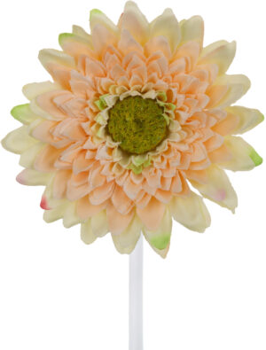 GERBERA SALMON GAŁĄZKA 37 CM ŁODYGOWA