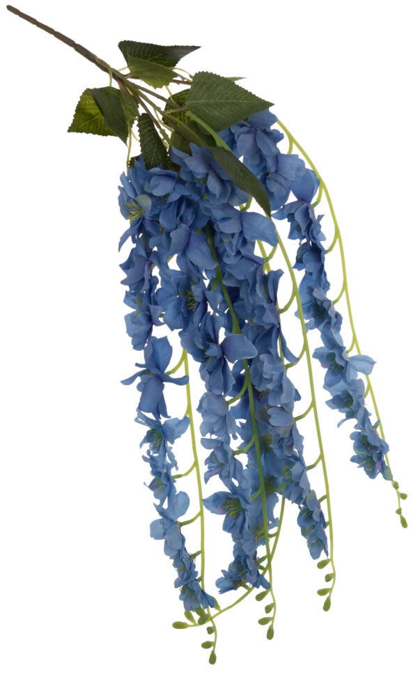 WISTERIA NIEBIESKA GLICYNIA ZŁOTOKAP GAŁĄZKA KWITNĄCA 70 CM