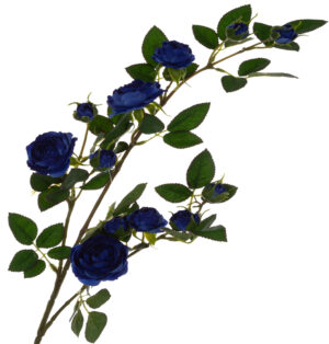 DZIKA RÓŻA GAŁĄZKA C. NIEBIESKA 80 CM DR BLUE