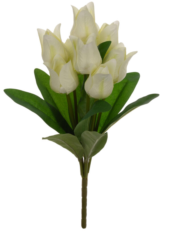 9X TULIPAN JASNY KREM BUKIET TULIPANÓW MATERIAŁ WIOSNA - obrazek 2
