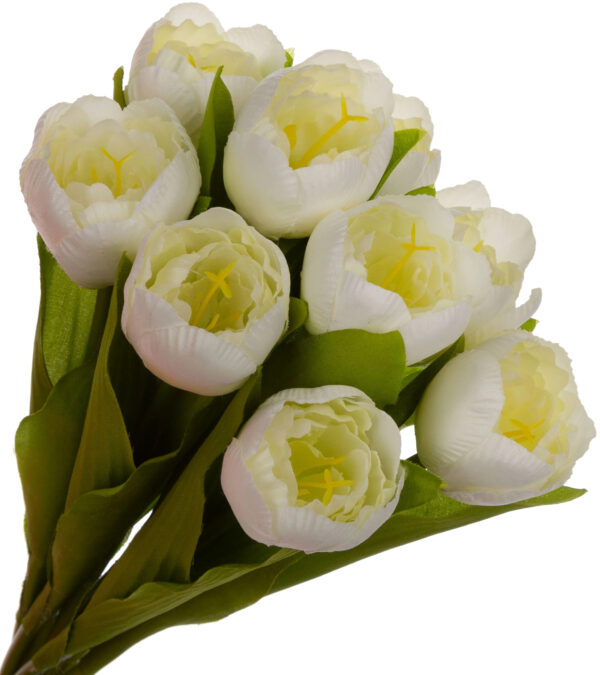 9X TULIPAN JASNY KREM BUKIET TULIPANÓW MATERIAŁ WIOSNA