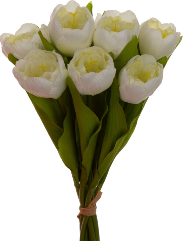 9X TULIPAN JASNY KREM BUKIET TULIPANÓW MATERIAŁ WIOSNA - obrazek 2