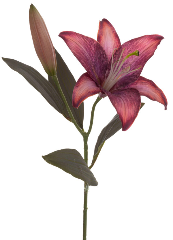 LILIA GAŁĄZKA FIOLET BORDO RÓŻ 51 CM
