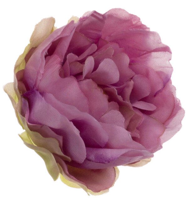 24X PEONIA PEŁNIK JASKIER GŁÓWKA WYROBOWA JASNY FIOLET
