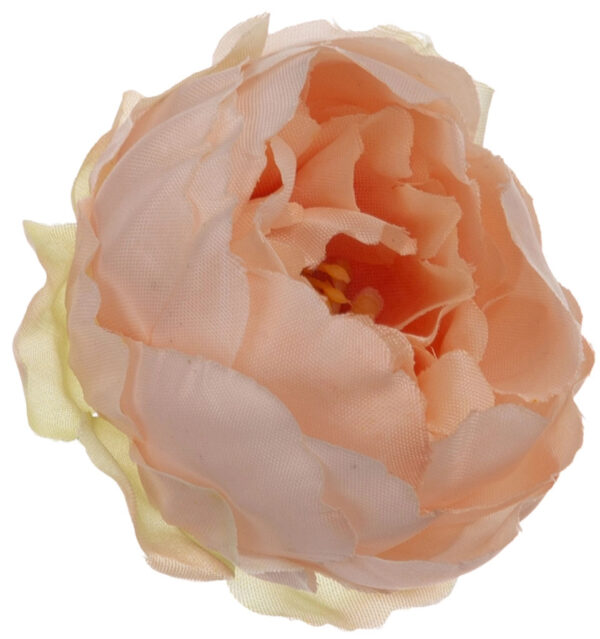 24X PEONIA PEŁNIK JASKIER GŁÓWKA WYROBOWA SALMON