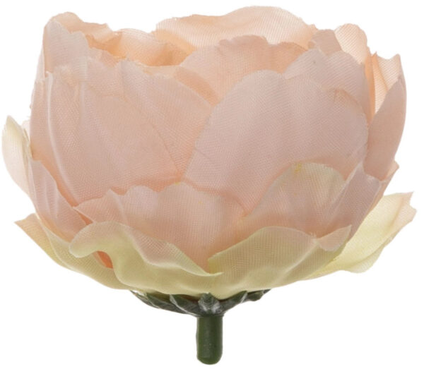 24X PEONIA PEŁNIK JASKIER GŁÓWKA WYROBOWA SALMON - obrazek 2
