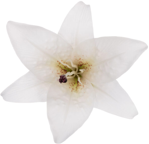 LILIA GŁÓWKA WYROBOWA BIAŁA WHITE - obrazek 2