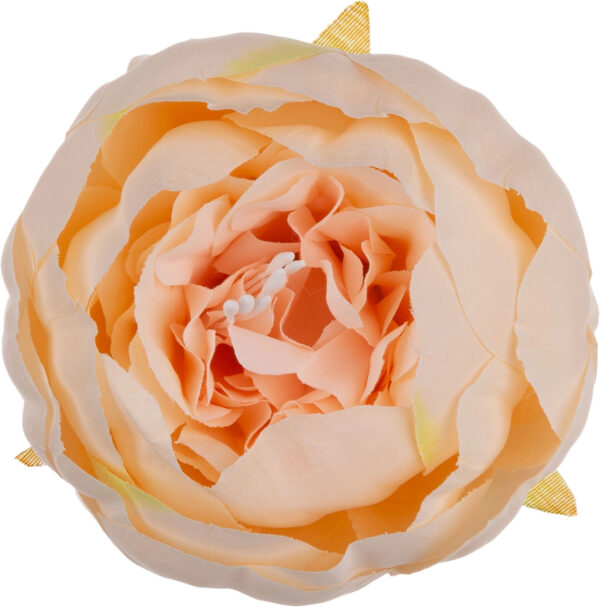 12X PEONIA PIWONIA J. BRZOSKWINIOWA GŁÓWKA WYROBOWA - obrazek 3