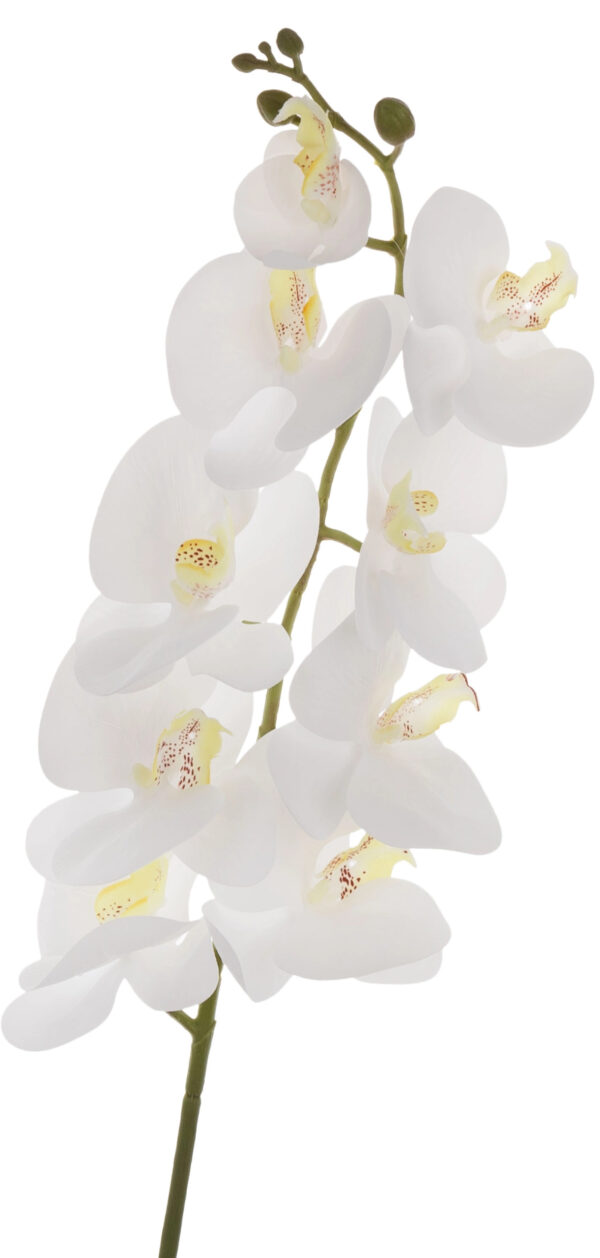 STORCZYK BIAŁY GUMOWY ORCHIDEA GAŁĄZKA 94 CM KWIATY SZTUCZNE - obrazek 2