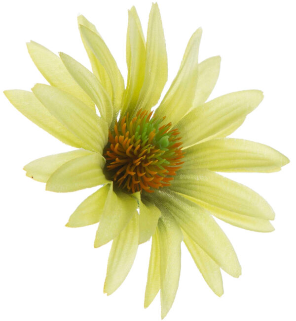 ASTER PISTACJA RUDBEKIA JEŻÓWKA GŁÓWKA WYROBOWA