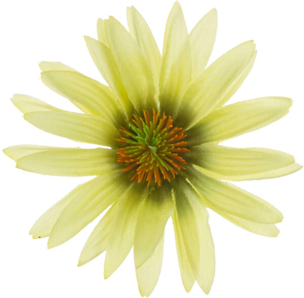 ASTER PISTACJA RUDBEKIA JEŻÓWKA GŁÓWKA WYROBOWA - obrazek 3