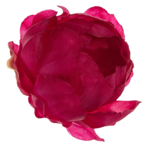24X PEONIA PEŁNIK JASKIER GŁÓWKA WYROBOWA BEAUTY