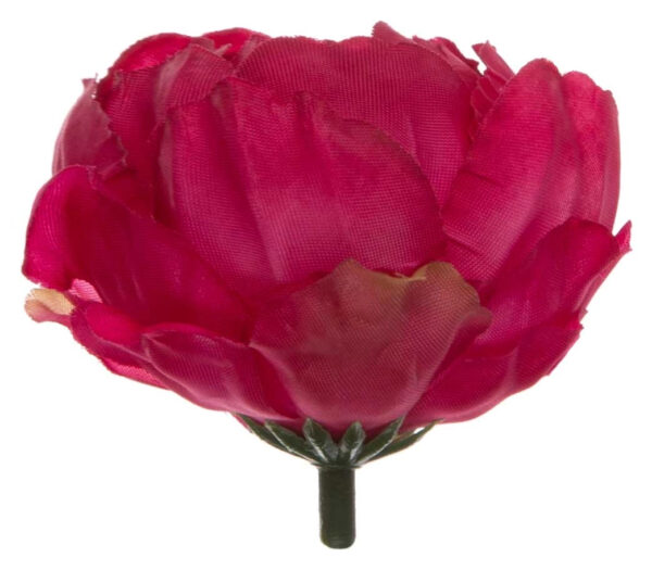 24X PEONIA PEŁNIK JASKIER GŁÓWKA WYROBOWA BEAUTY - obrazek 2
