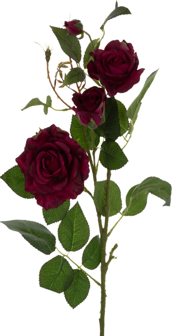 RÓŻA BURGUND GAŁĄZKA 76 CM DR BURGUNDY GREEN