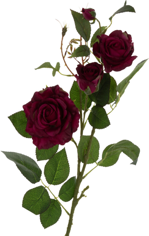 RÓŻA BURGUND GAŁĄZKA 76 CM DR BURGUNDY GREEN - obrazek 2