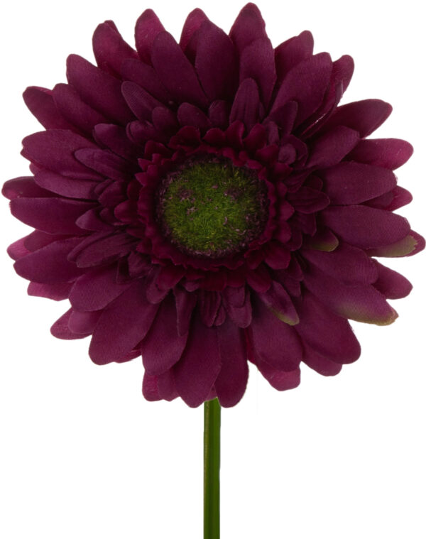 GERBERA PLUM FIOLETOWA GAŁĄZKA 46 CM ŁODYGOWA