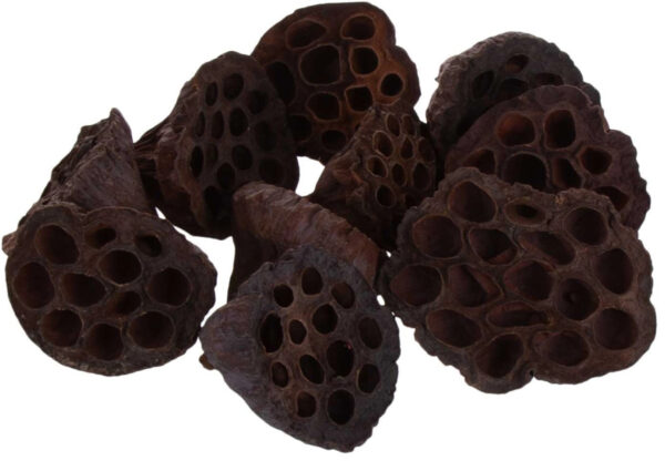 10X LOTOS NATURALNY SUSZ NATURALNY EGZOTYCZNY