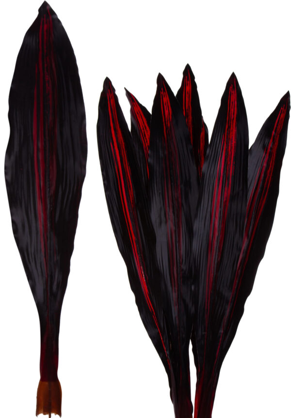 12 X LIŚĆ LIŚCIE SZABLA BORDO DRACENA 60 CM - obrazek 2