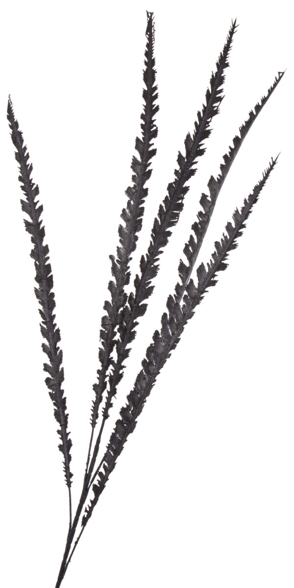 LIŚĆ CZARNY GAŁĄZKA DO KOMPOZYCJI 110 CM - obrazek 2