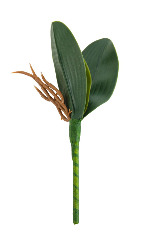 LIŚĆ STORCZYKA GUMOWY ZIELONY 21,5 CM - obrazek 2