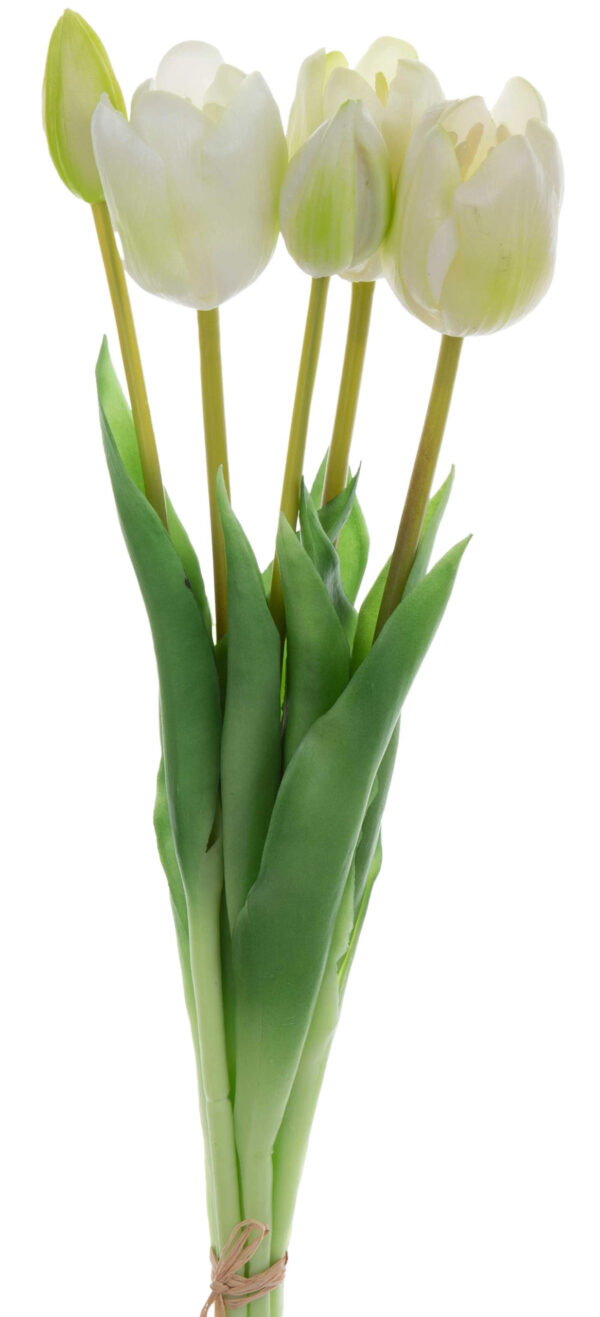 TULIPAN BIAŁY ZIELONY BUKIET TULIPANÓW GUMOWYCH
