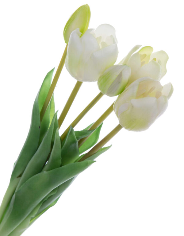 TULIPAN BIAŁY ZIELONY BUKIET TULIPANÓW GUMOWYCH - obrazek 2