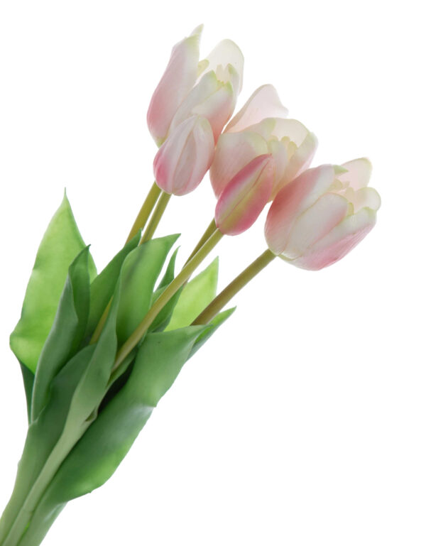 TULIPAN BIAŁY RÓŻ BUKIET TULIPANÓW GUMOWYCH - obrazek 2