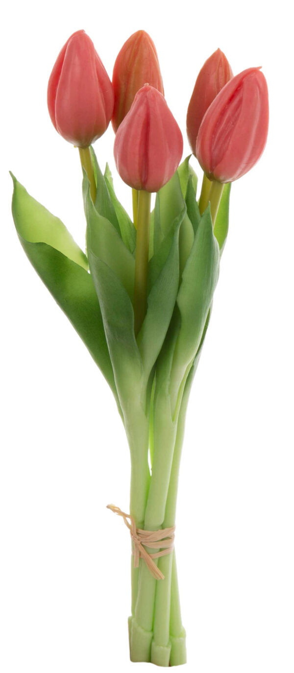 TULIPAN KORALOWY BUKIET TULIPANÓW GUMOWYCH