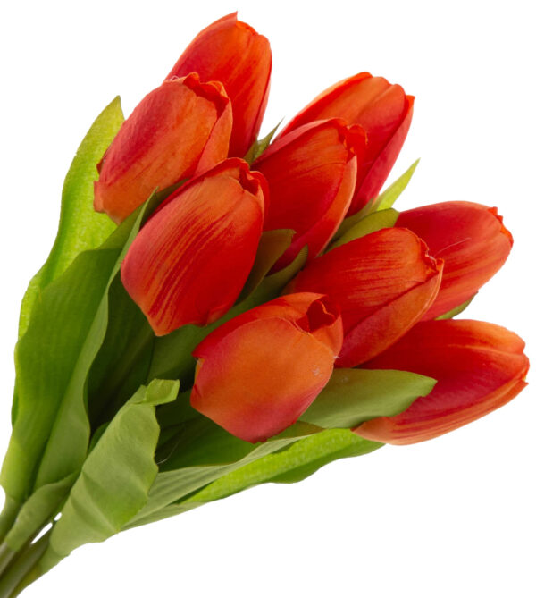 9X TULIPAN POMARAŃCZOWY CZERWONY BUKIET TULIPANÓW MATERIAŁ WIOSNA - obrazek 2