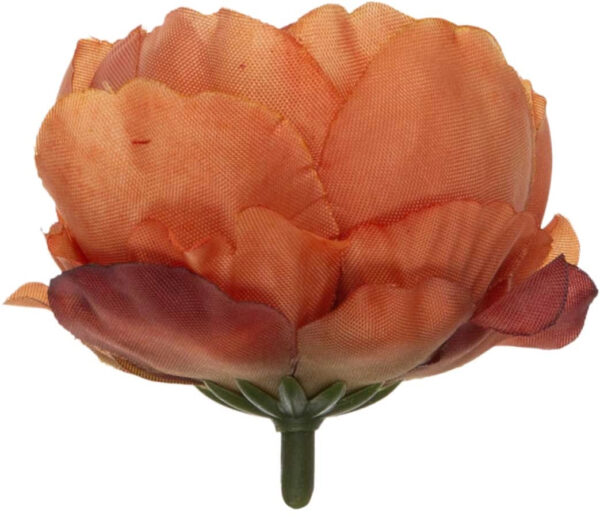 24X PEONIA PEŁNIK JASKIER GŁÓWKA WYROBOWA BROWN CEGLASTA - obrazek 2