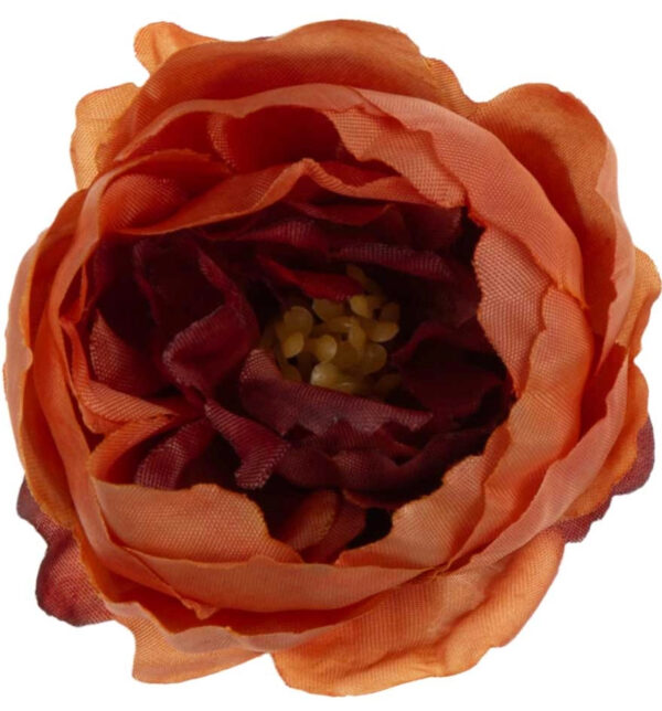 24X PEONIA PEŁNIK JASKIER GŁÓWKA WYROBOWA BROWN CEGLASTA - obrazek 3