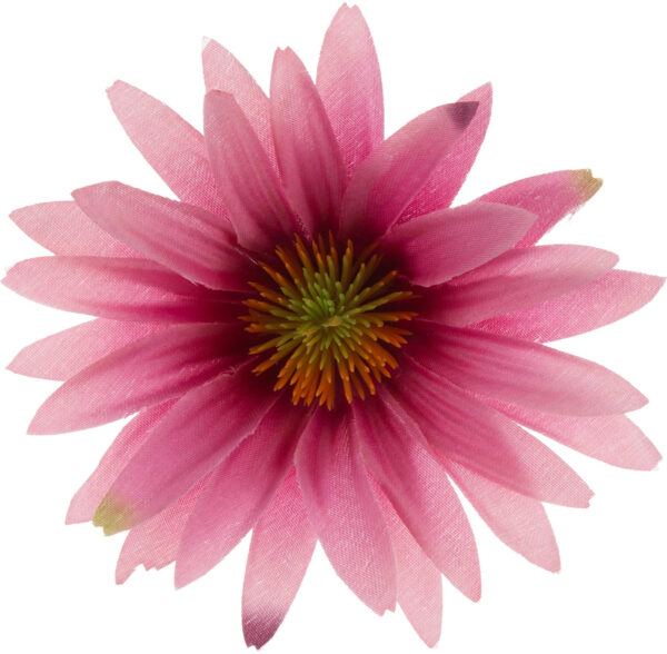 ASTER RÓŻOWY RUDBEKIA JEŻÓWKA GŁÓWKA WYROBOWA