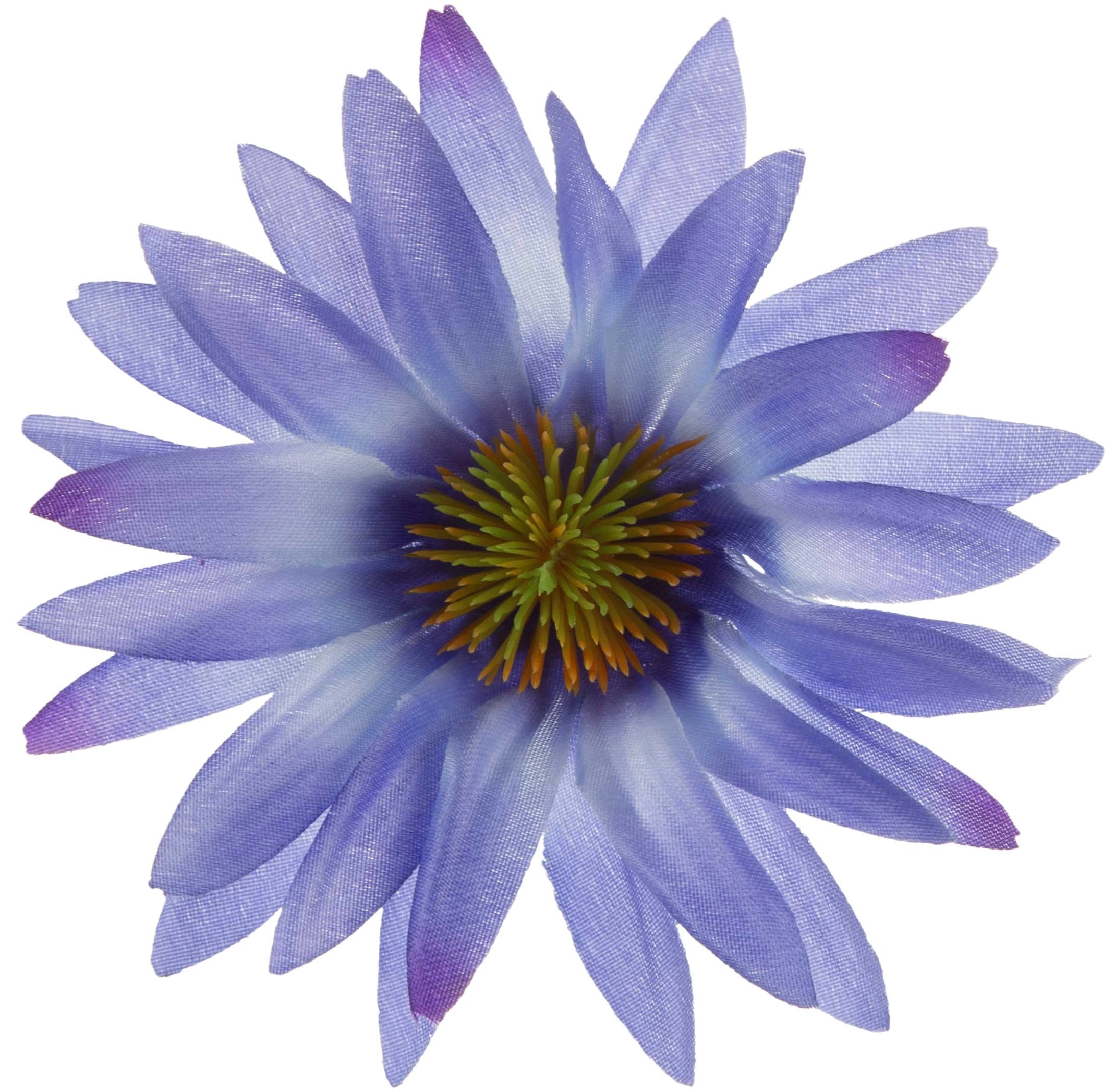 ASTER NIEBIESKI RUDBEKIA JEŻÓWKA GŁÓWKA WYROBOWA