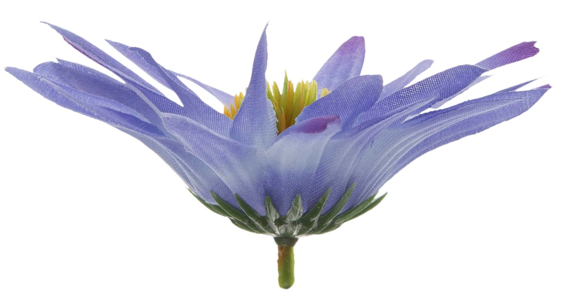 ASTER NIEBIESKI RUDBEKIA JEŻÓWKA GŁÓWKA WYROBOWA - obrazek 2
