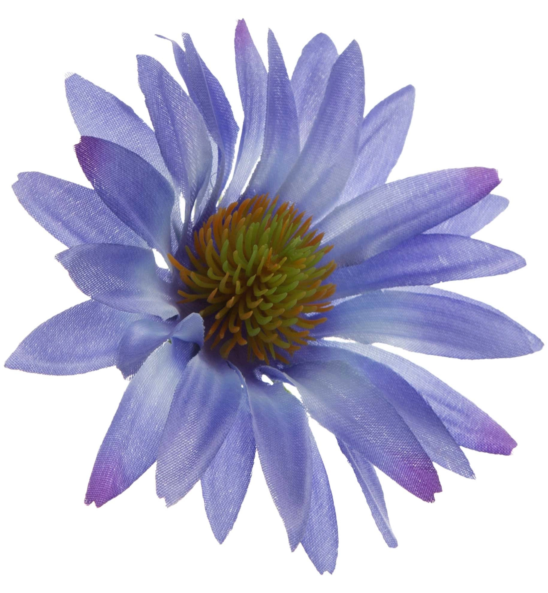 ASTER NIEBIESKI RUDBEKIA JEŻÓWKA GŁÓWKA WYROBOWA - obrazek 3
