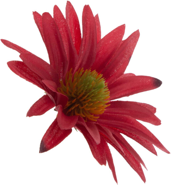 ASTER CZERWONY CHERRY RUDBEKIA JEŻÓWKA GŁÓWKA WYROBOWA - obrazek 3