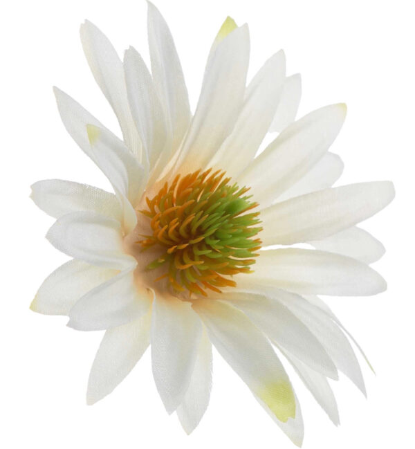 ASTER LEMON RUDBEKIA JEŻÓWKA GŁÓWKA WYROBOWA - obrazek 3