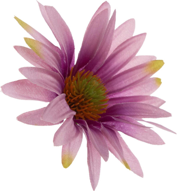 ASTER FIOLETOWY RUDBEKIA JEŻÓWKA GŁÓWKA WYROBOWA - obrazek 3