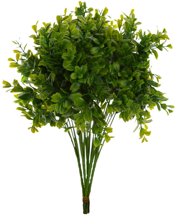 6X BUKSZPAN GRYCZPAN BORÓWKA 32 CM - obrazek 2