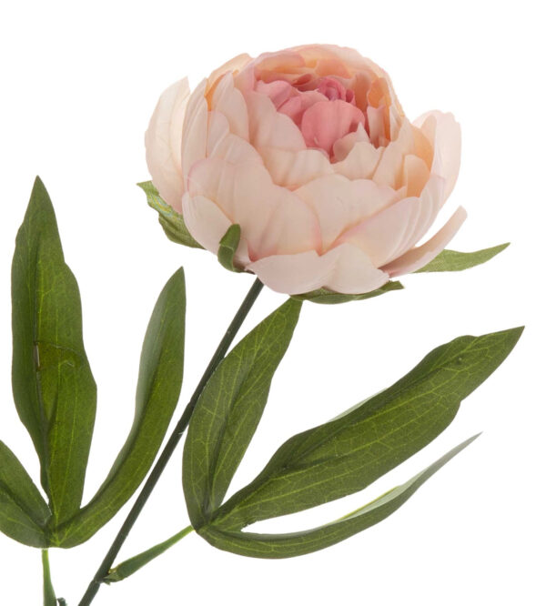 PEONIA PIWONIA KREM RÓŻ GAŁAZKA 43 CM KWIATY SZTUCZNE