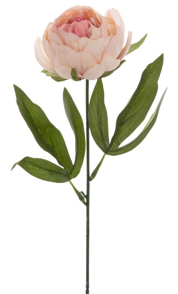 PEONIA PIWONIA KREM RÓŻ GAŁAZKA 43 CM KWIATY SZTUCZNE - obrazek 2